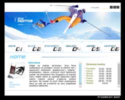 Web stránka firmy SKI-KOMIS